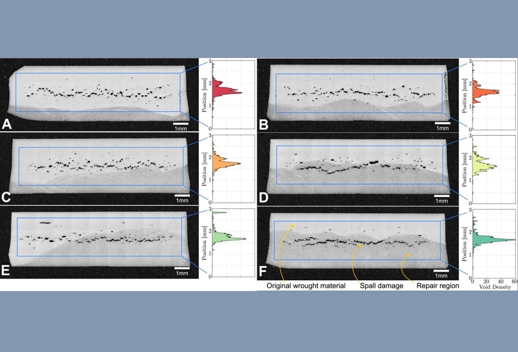 Optical microscopy images